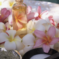 Screenshot 2026-04-11 at 1.05.32 PM